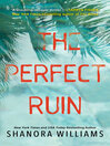 Cover image for The Perfect Ruin